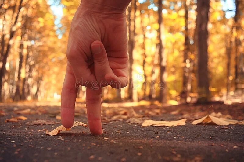 Шагающие пальцы рук. Пальцами шагать по столу доброе утро. Пальцы шагают по набережной. Шагающие пальцы