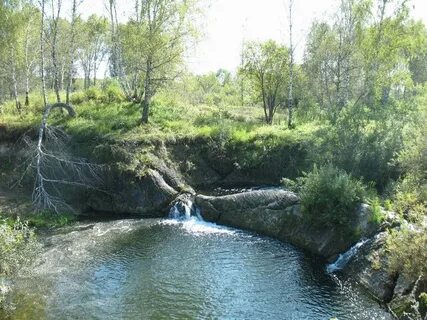 Погода киик