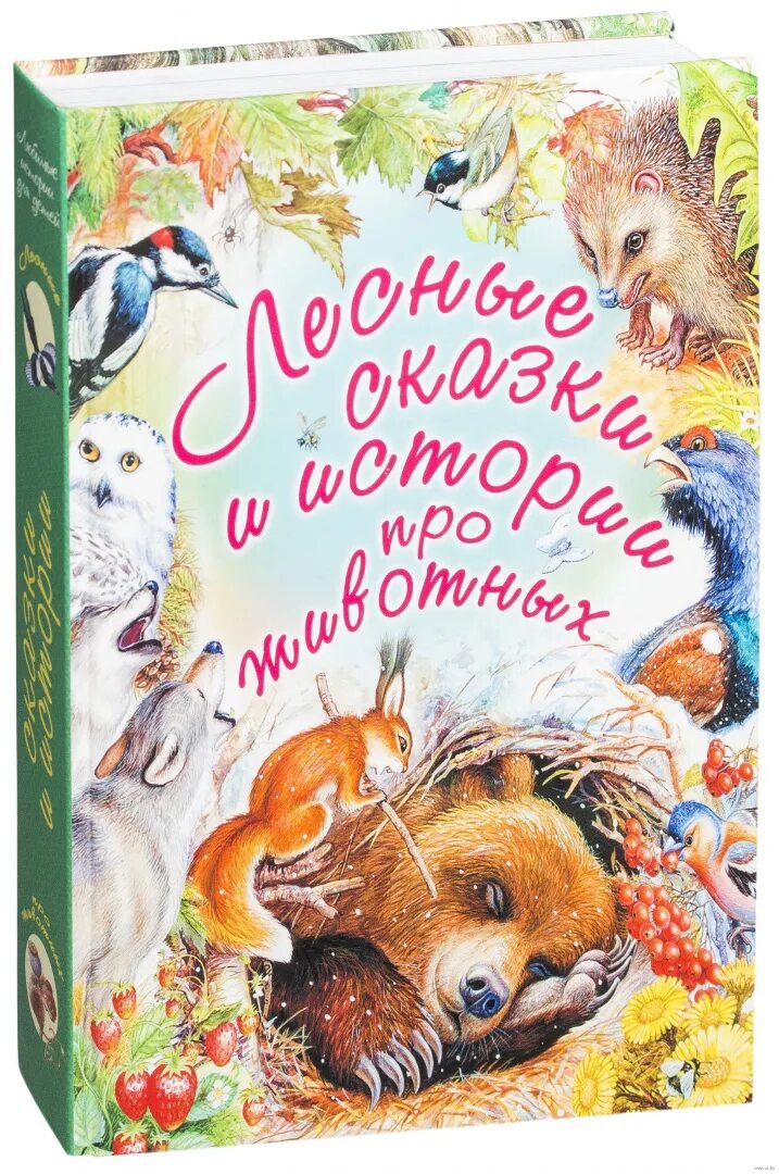 Сказки паустовского о животных. Книга «Лесные сказки». Рассказы и сказки о природе. Книги о природе и животных для детей. Рассказы и сказки о животных.