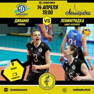 Динамо ленинградка волейбол прогноз