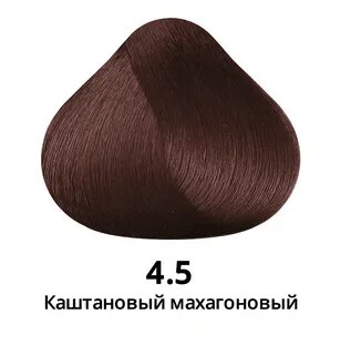 Каштан 5