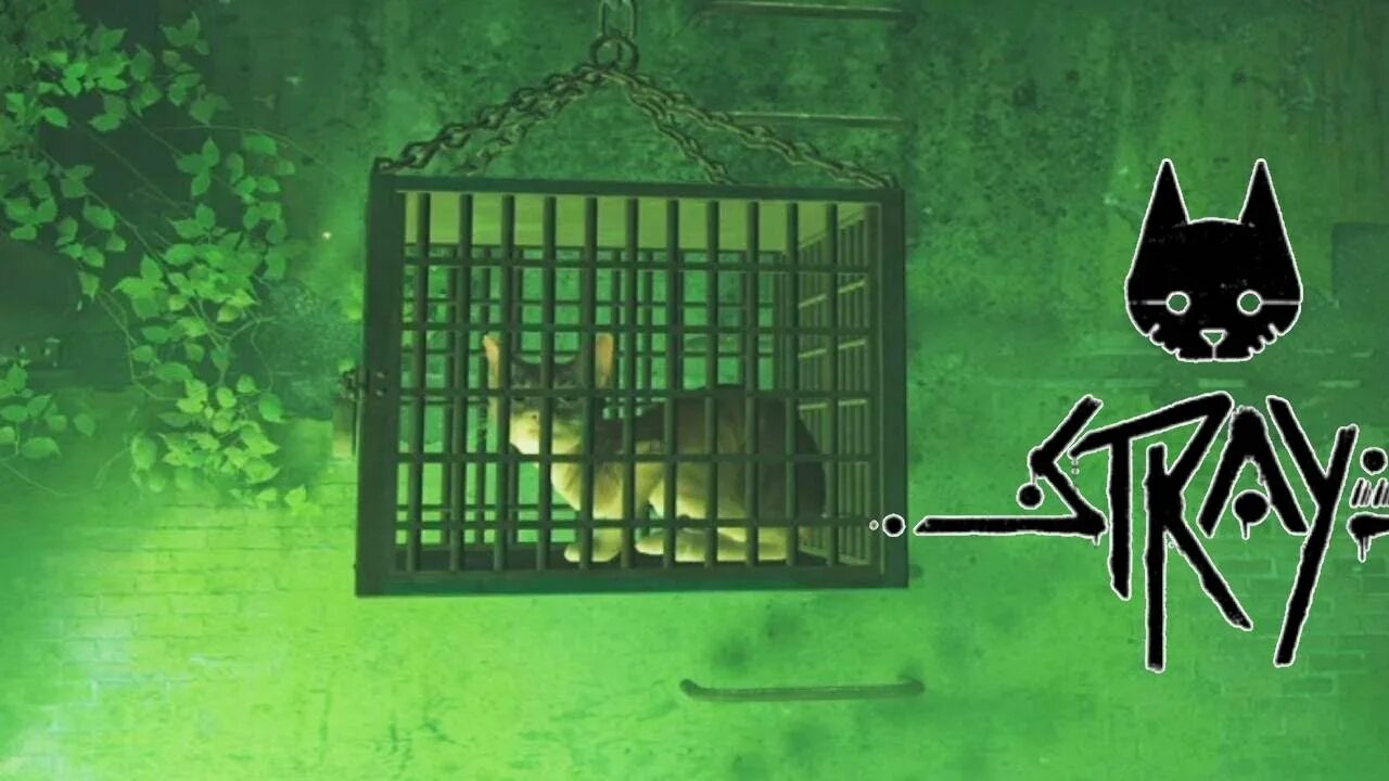 Как пройти игру stray cat. Stray cat игра. stray cat game art. stray cat фон.