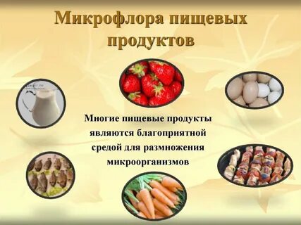 Роль пищевых продуктов в распространении пищевых инфекций