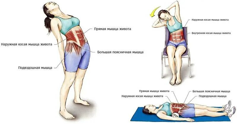 Упражнения на растягивание мышц живота. Растяжение связок косых мышц живота. Растяжение внутренней косой мышцы живота симптомы. Упражнения для расслабления прямой мышцы живота.