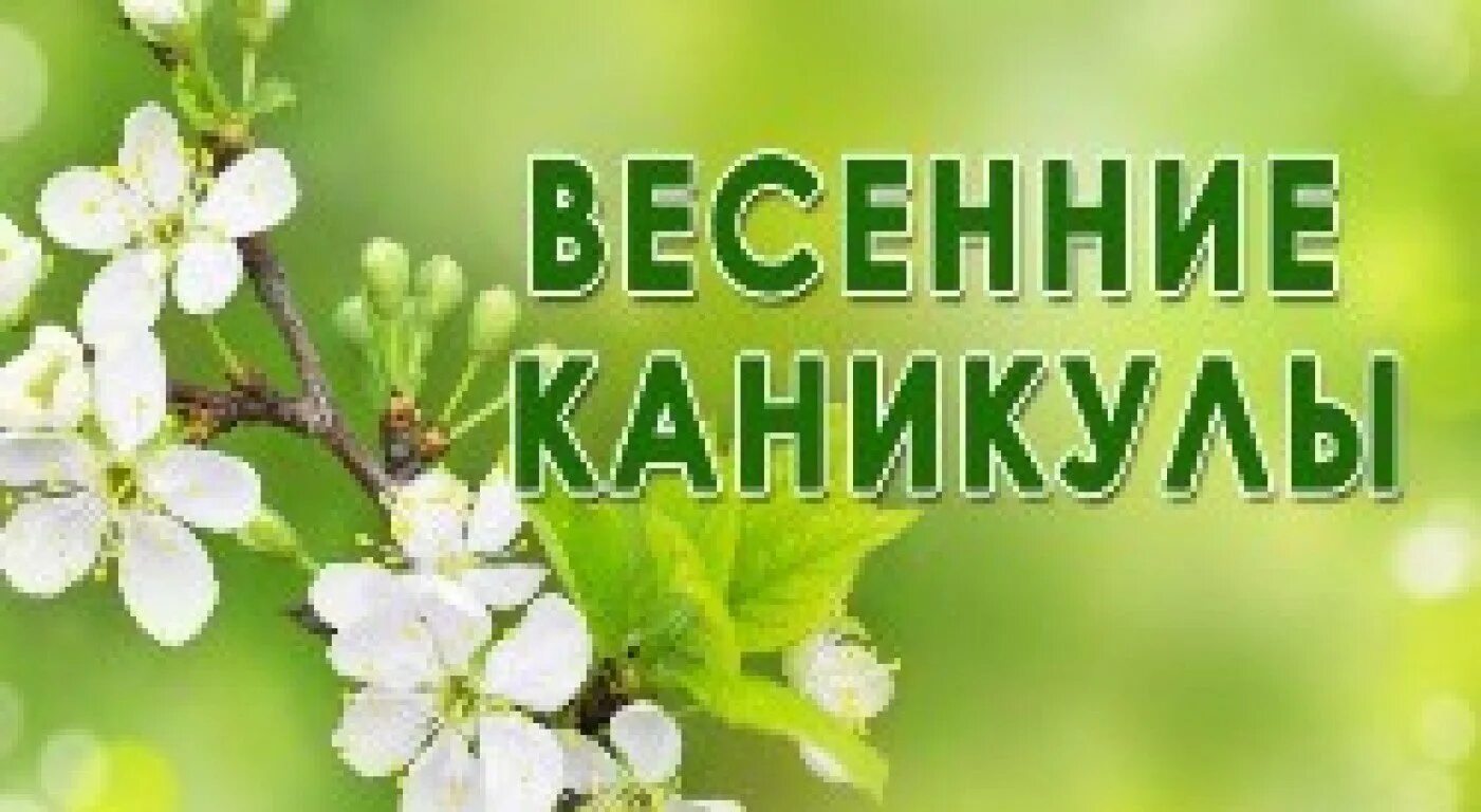 Весенние каникулы. Весенние каникулы картинки. Открытка с весенними каникулами. После весенних каникул