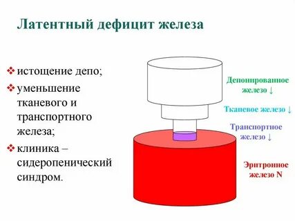 Латентные явления