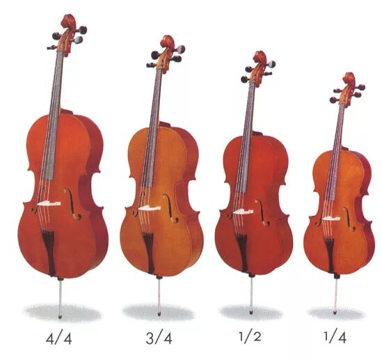 Мензура виолончель 1/4. Размер смычка для виолончели 3/4. Виолончель 4/4 Размеры. Размер виолончели 4/4 в сантиметрах. 3 4 смычковый музыкальный инструмент