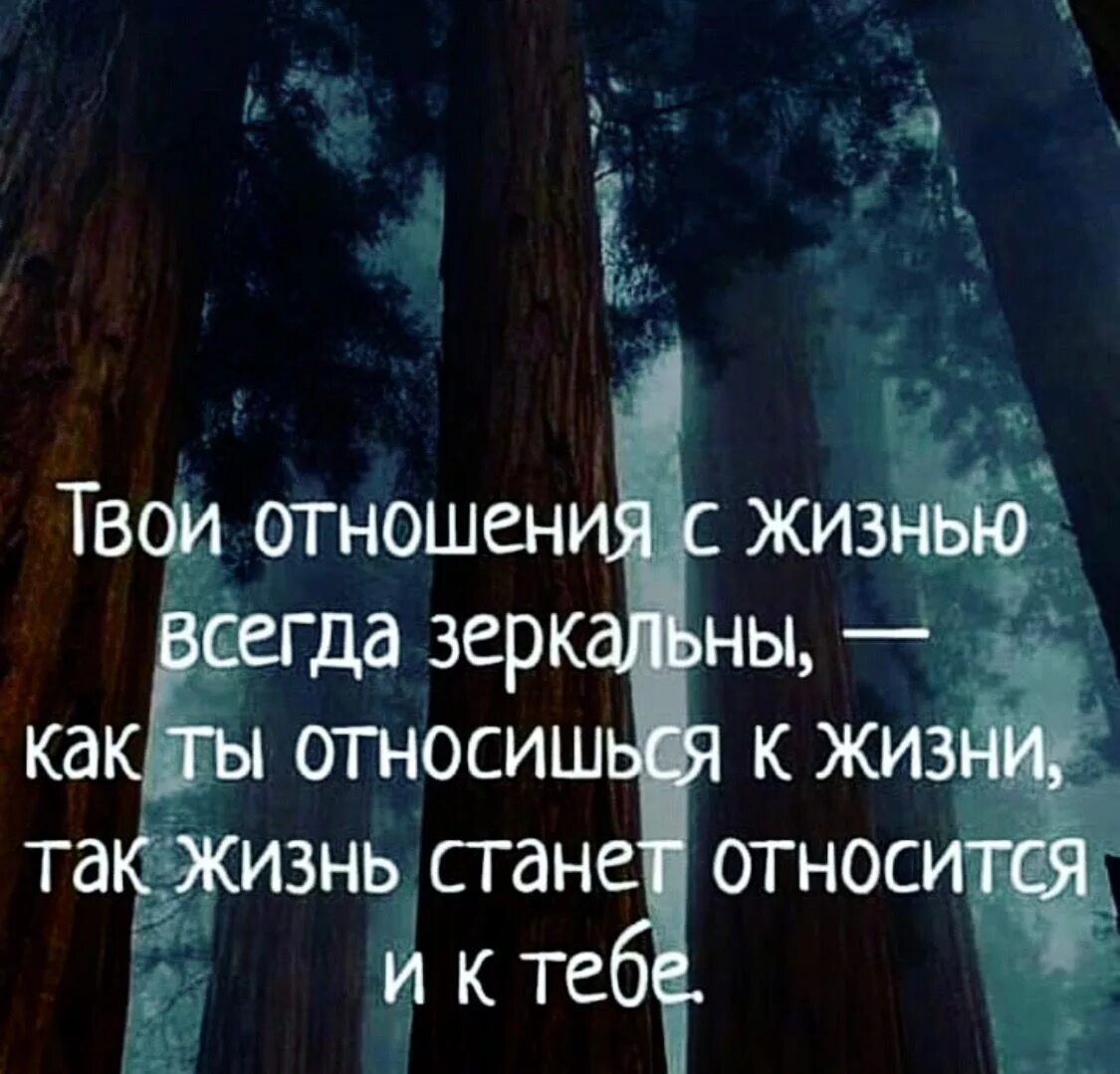 Отражение афоризмы. Отражение цитаты. Цитаты со смыслом. Фразы на зеркале. Как к тебе относятся твои дети