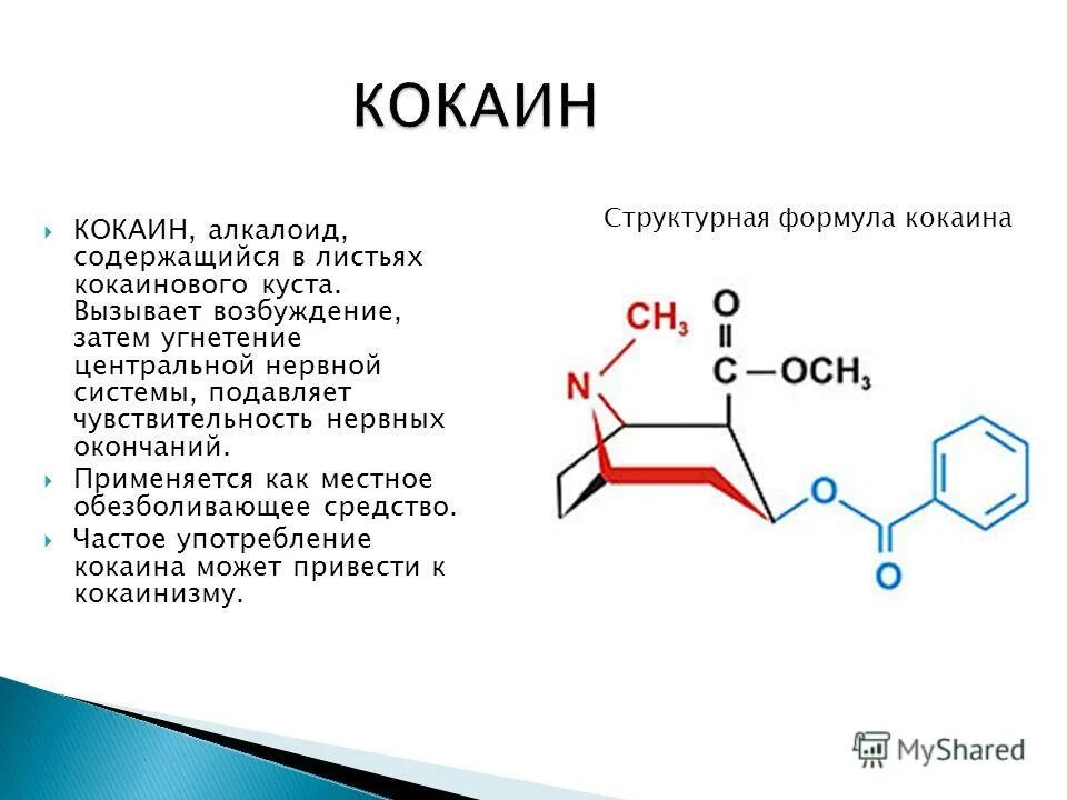 Системы органов человека пищеварительная система. Л к п состоит из. Формула кокаина в химии. Строение текста. Структура текста.