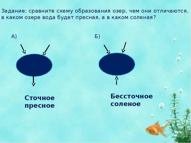 Площади 2 из представленных озер различаются вдвое. Схема образования озера. Образование озер. Причина образования озер схема. Процесс образования озера.