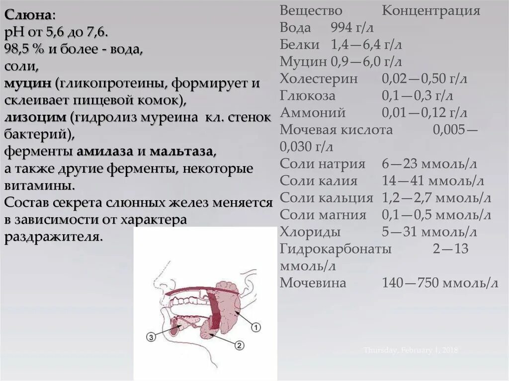 Рн амилазы слюны