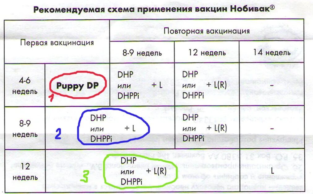 Схема прививок Нобивак для щенков. Прививки Нобивак для собак схема. Нобивак схема вакцинации щенков. Схема вакцинации Нобивак для собак. Прививки для щенков график