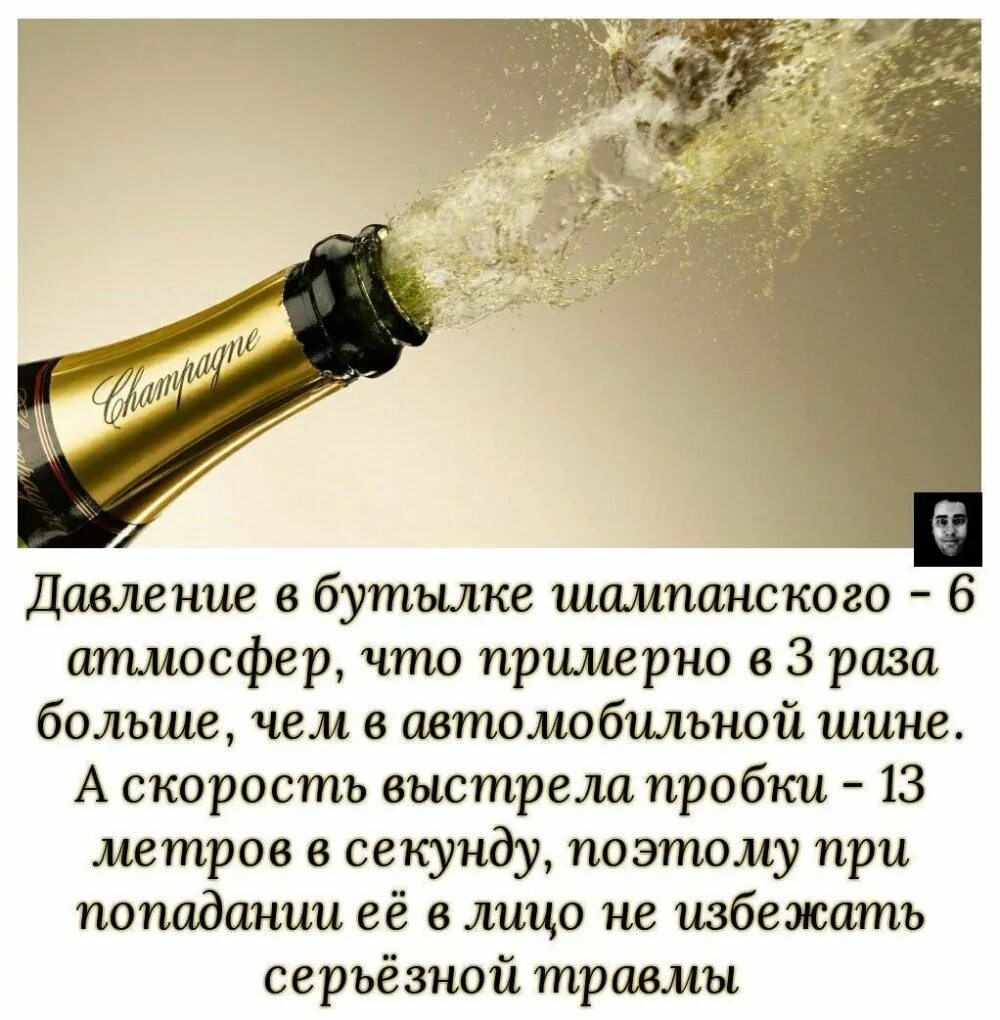 Давление в бутылке шампанского. Интересные факты про шампанское. интересные факты о шампанском. бутылка шампанского с пожеланиями. стихи про шампанское прикольные.