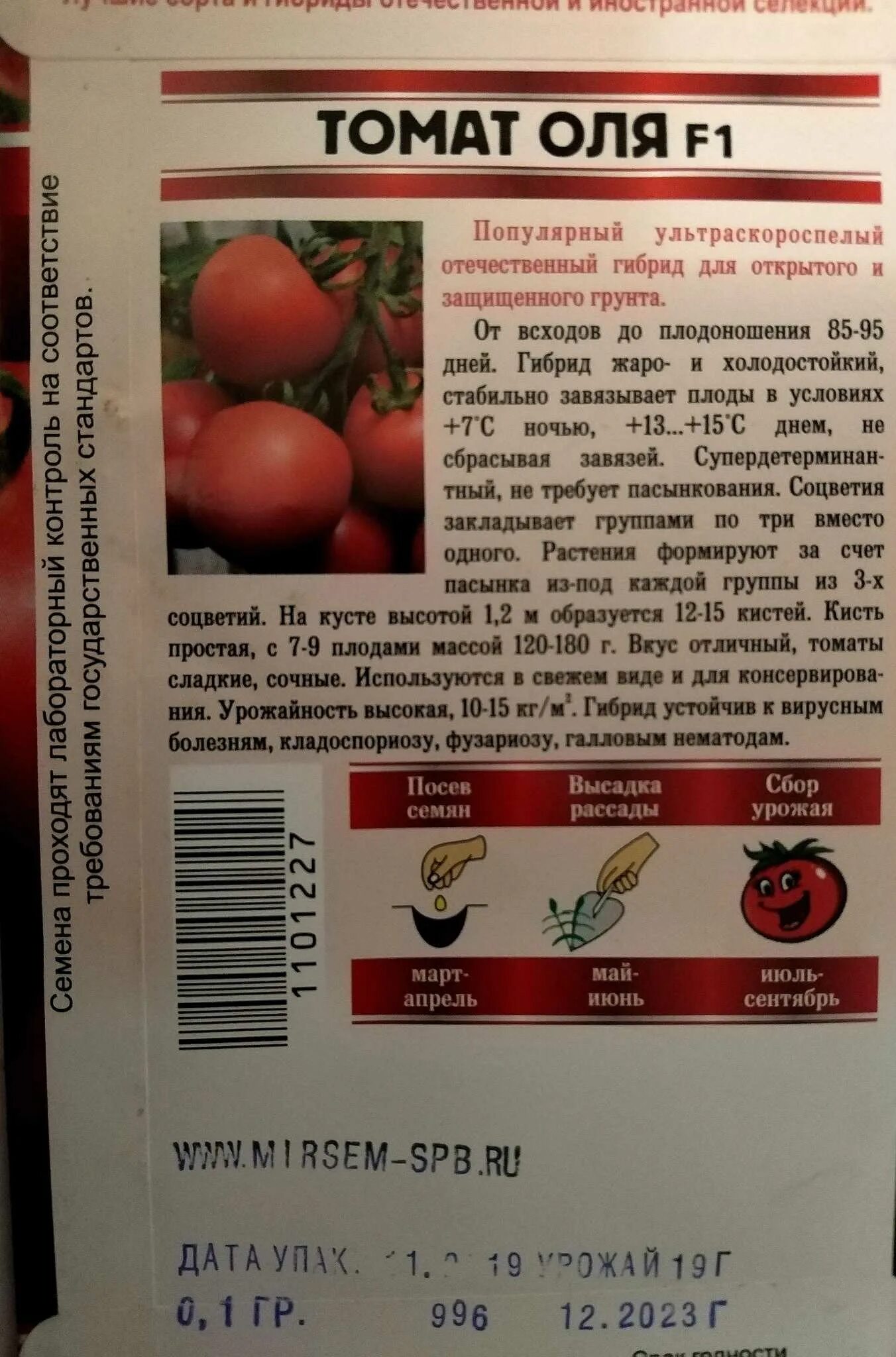 Томат оля характеристика и описание сорта фото. Помидоры Оля ф1. Томат сорт Оля f1 характеристика. Томат Оля f1 "уд". Оля ф1 томат описание.