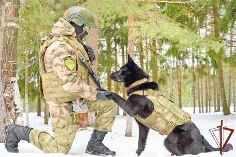 Кинологи росгвардии