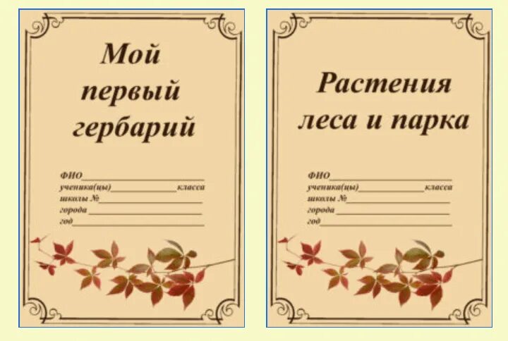Гербарий обложка. Гербарий титульный. Гербарий титульный лист. Гербарий листья. Гербарий обложка.