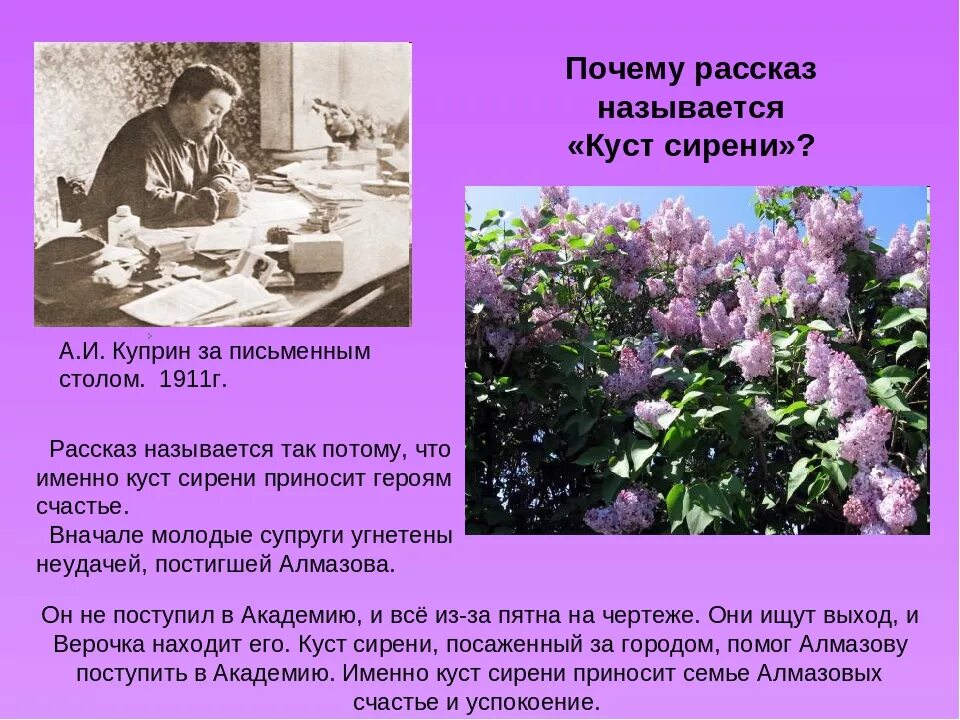 Почему автор выбрал именно эти слова. Куприн куст сирени краткое содержание. Краткое содержание произведения куст сирени Куприн. Рассказ Куприна куст сирени краткое содержание. Куст сирени Куприн.