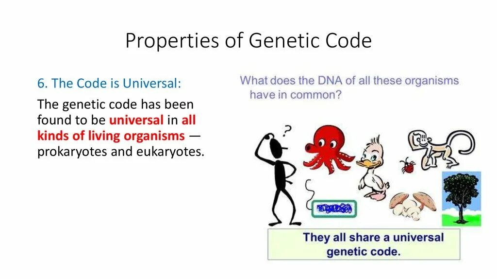 Property code. Genetic code properties. The genetic code Biology. The main properties of genetic code. Universal genetic code.