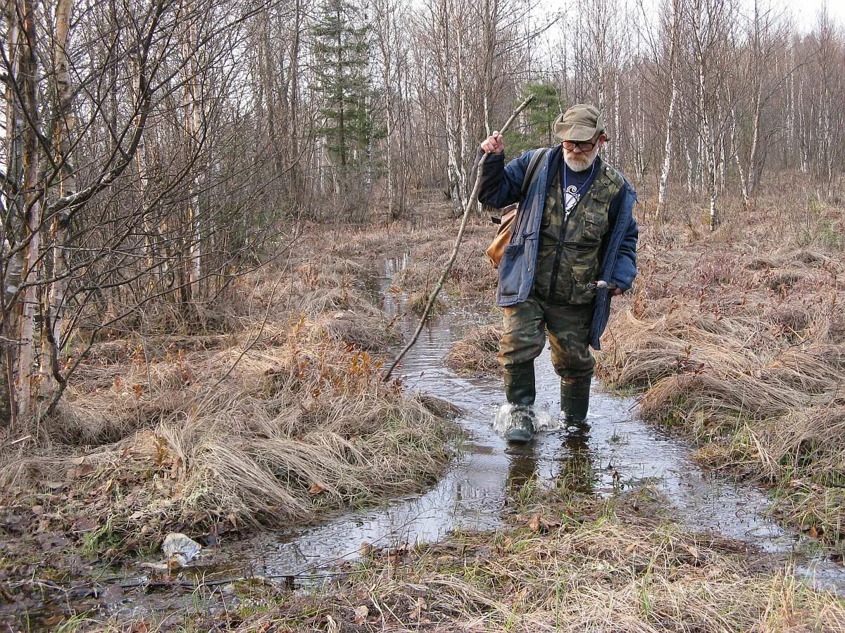 проходимые болота. преодоление болота. обувь для хождения по болотам. прогулка по болоту. люди ходят по болоту.