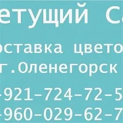 Код оленегорска. Код оленегорска. Центр города оленегорска. Город оленегорск мурманская область. Оленегорск мурманская область олень.