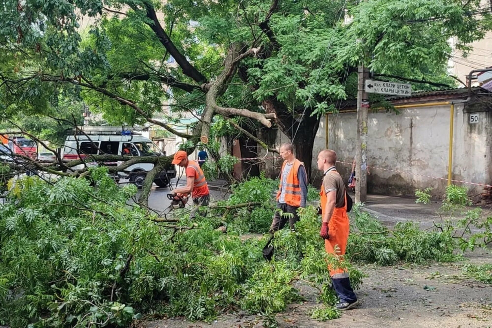 Улица с деревьями. Дерево упало на частный дом. 12 Августа дерево. В Пионерский упало дерево. Симферополь поступи