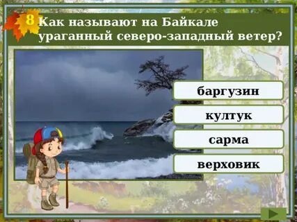 Дует резкий юго западный ветер