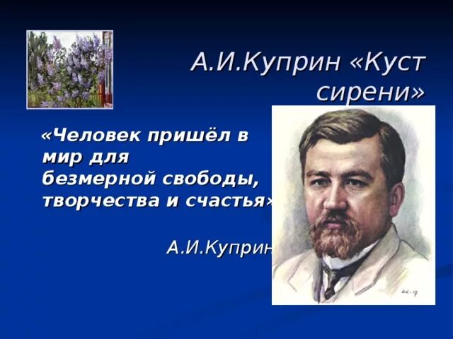 Чехов куприн итоговый урок 6 класс. Л.Н.Толстого,а.п.Чехова,и.а.Бунина,а.и.Куприна. Куст сирени Куприн. Куст сирени Куприн книга. Куст сирени Куприн иллюстрации.