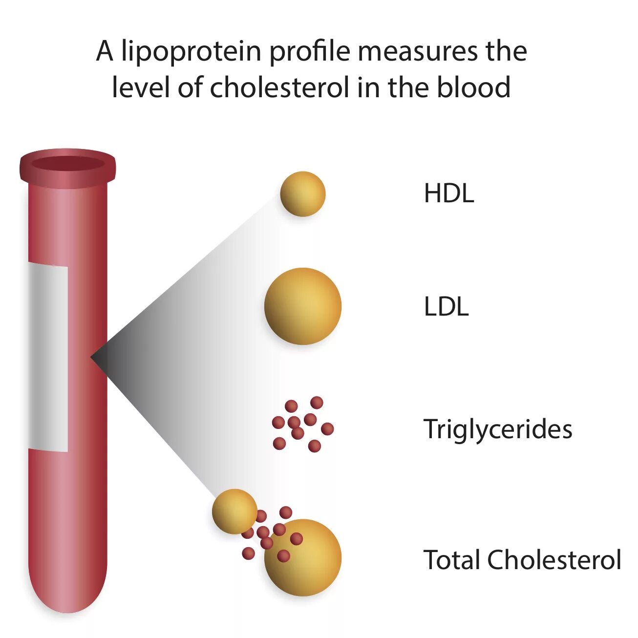 Холестерин триглицериды. Холестерол hdl. lipid profile. триглицериды. ldl холестерин что это.
