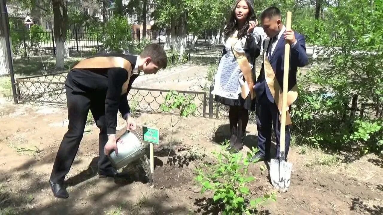 Посадка деревьев выпускниками. Выпускники сажают деревья. высадка деревьев выпускниками. таблички для деревьев выпускников. дерево выпускников в школе.