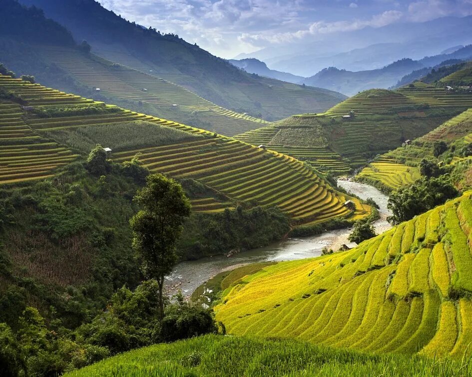 Best vietnam. Сапа рисовые поля. Сапа Вьетнам. Рисовые чеки во Вьетнаме. Каскадные плантации во Вьетнаме.