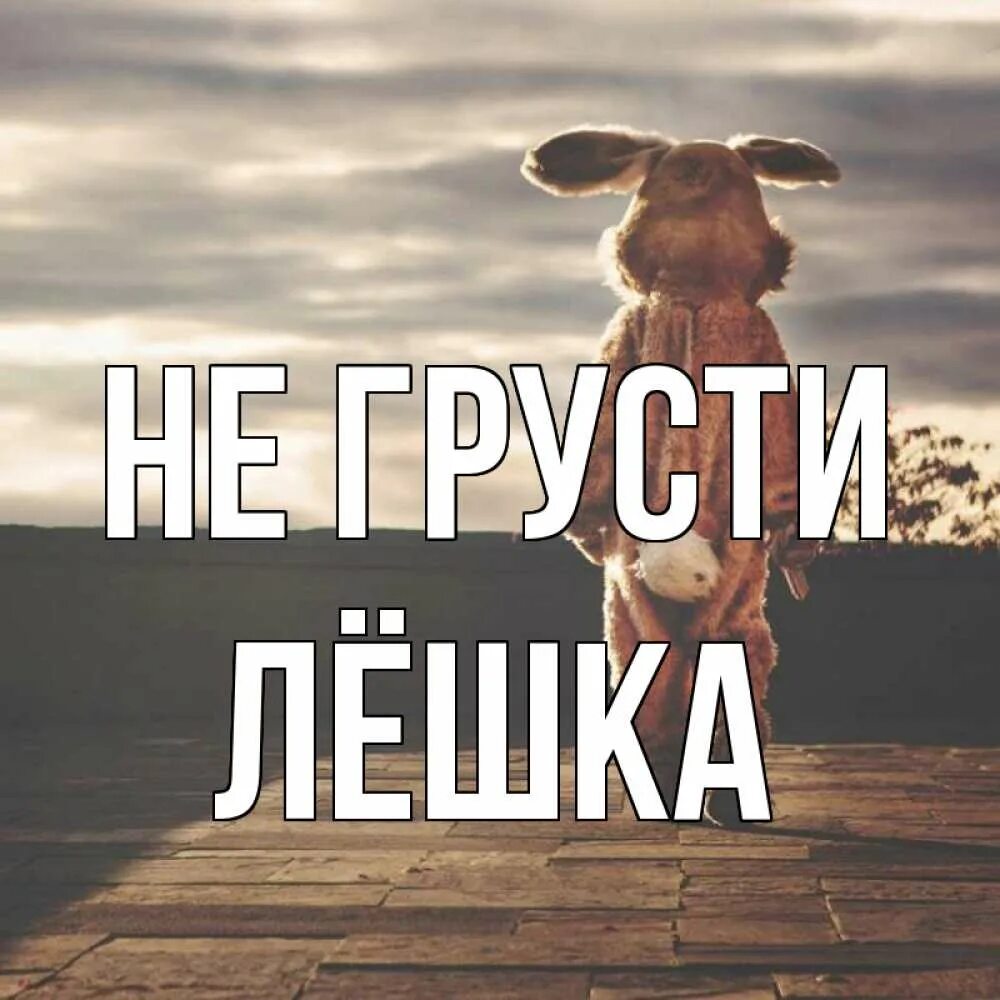 Мемы просто мемы. Мемы. Не грусти лешка. Да дорогая. Включи просто твой.