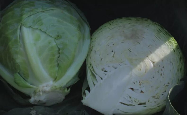 Какую капусту квасить