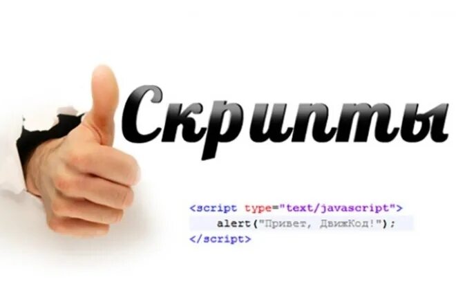 1 script script type