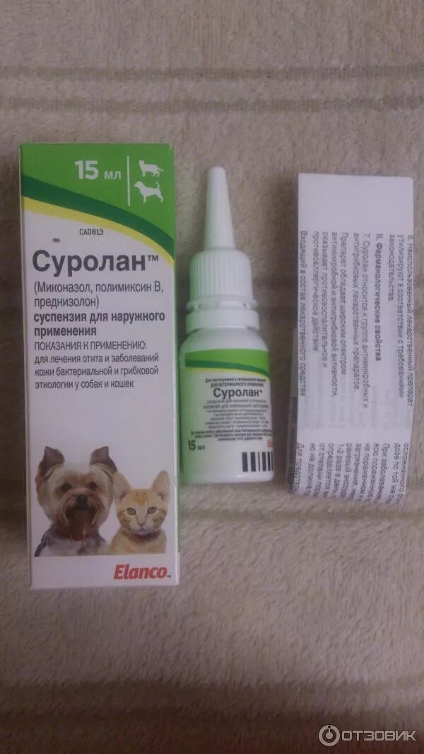 Что можно кошке от аллергии. Отит у кошки капли в уши. ушные капли для кота от отита. капли от аллергии для кошек.