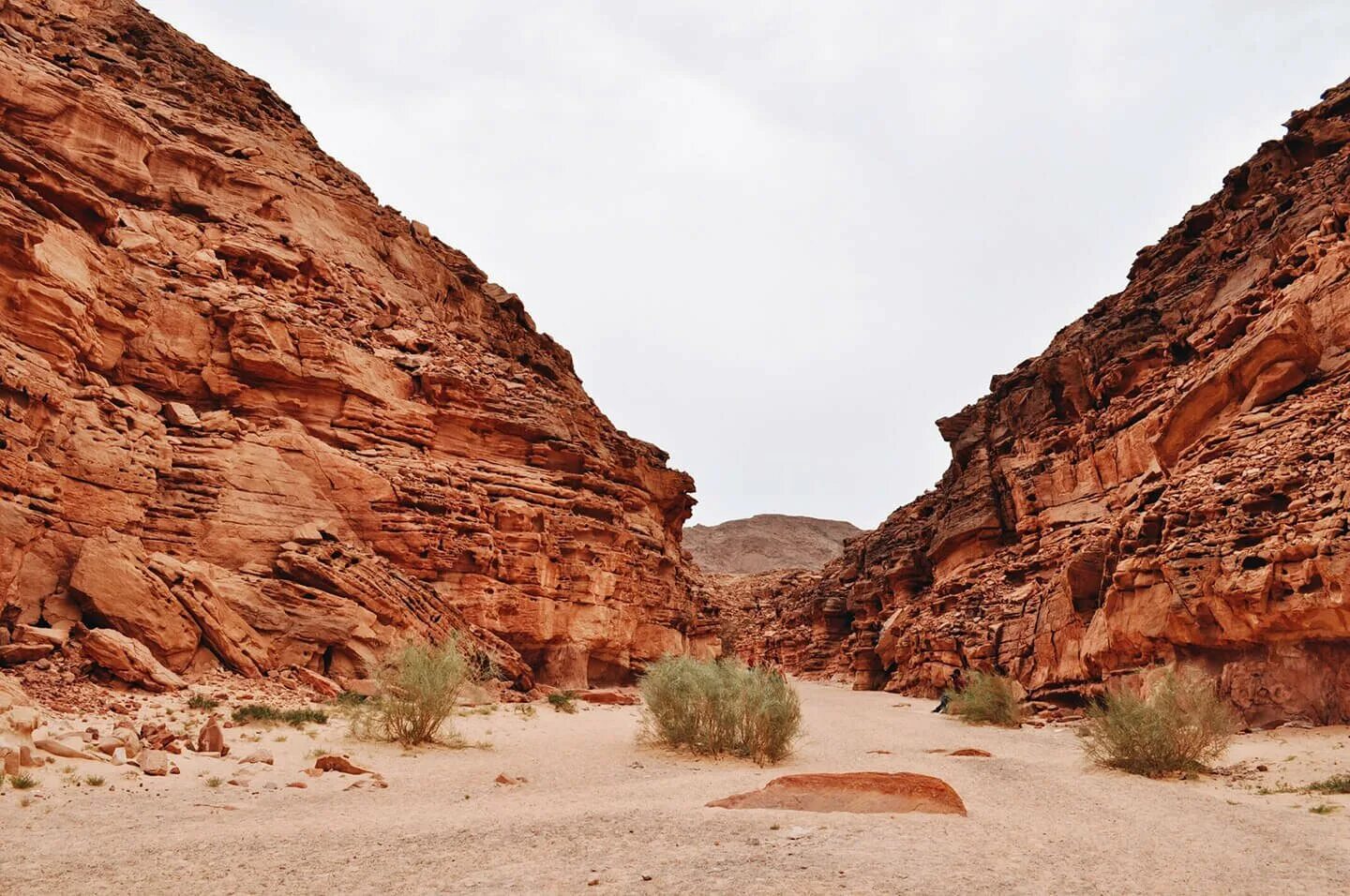 Каньон Салама Египет. Нувейба Египет каньон. Красный каньон Египет Синай. Цветной каньон Салама в Египте. Каньон шарм эль шейх