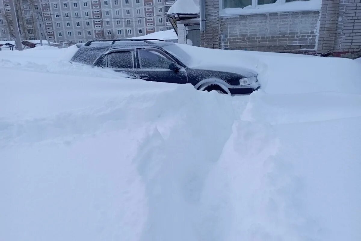 Хабаровске выпал снег. Сильный снегопад. Снегопад в Хабаровске. Засыпало снегом. Снег сугробы.