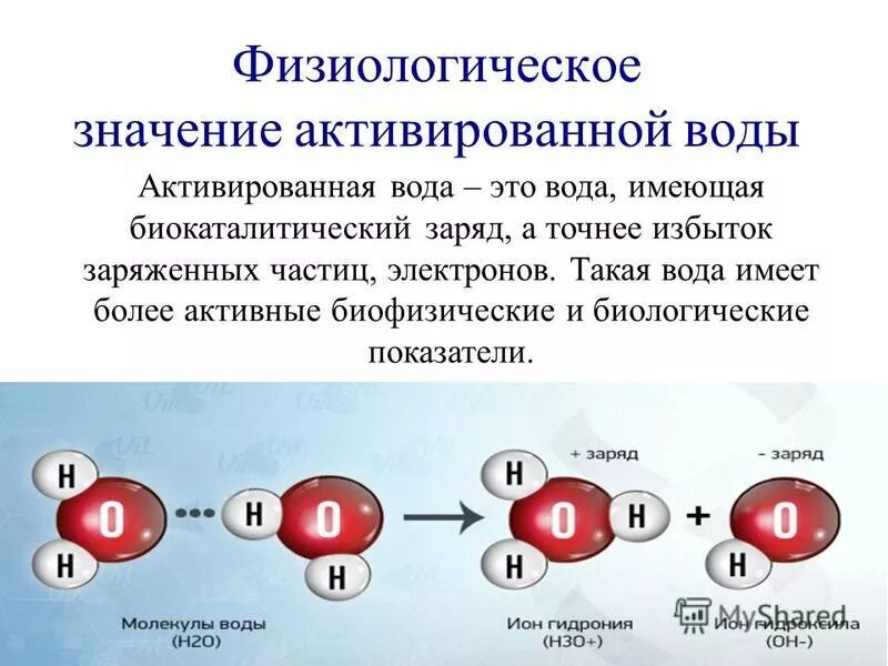 Активация значение. Большие данные лекция. Активаторы и ингибиторы ферментов биохимия. Активация значение. Амр акивируемая протеинкиназа.