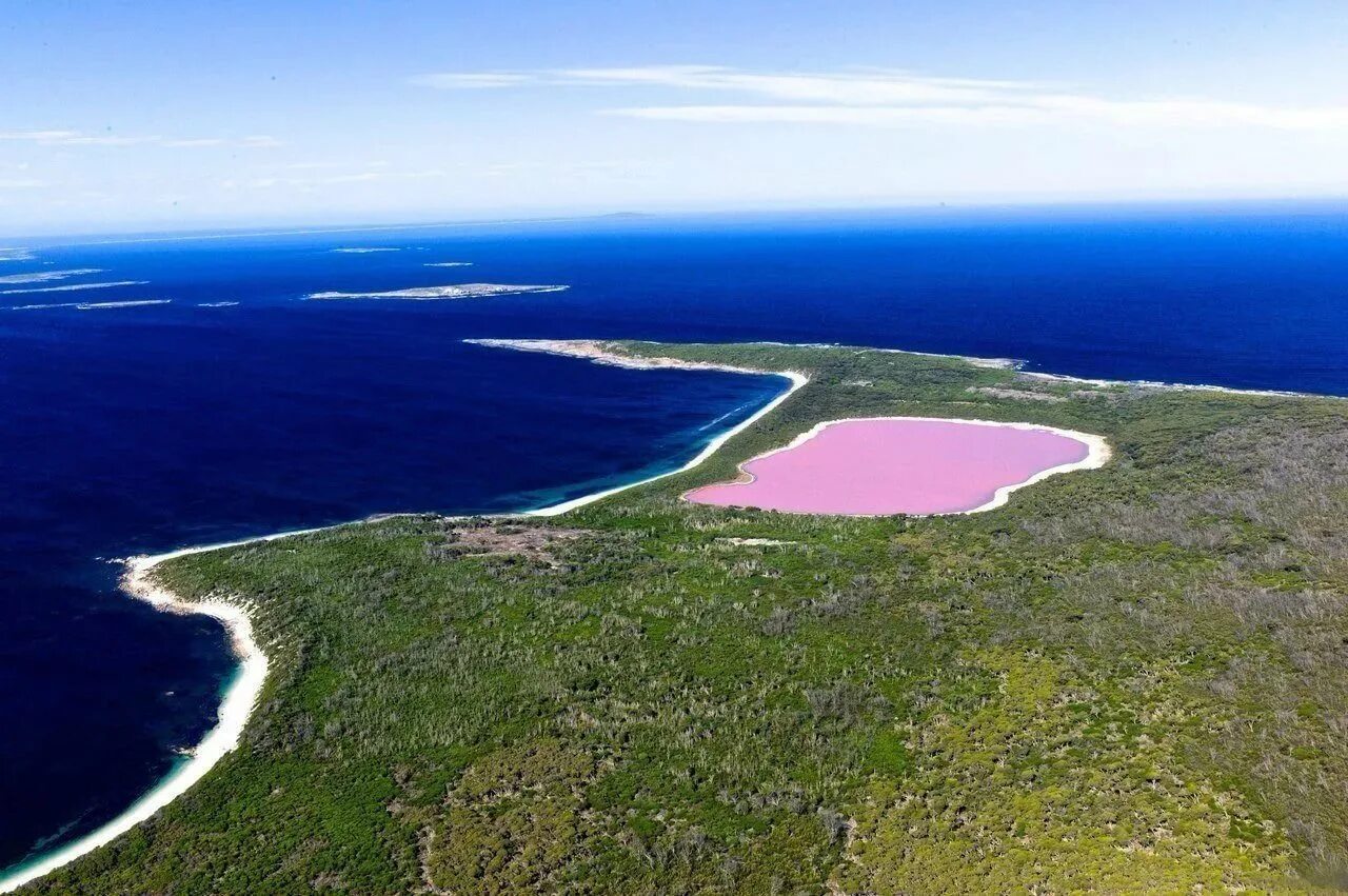 Озеро в австралии 3. Озеро Хильер в Австралии. Озеро Хиллер, Западная Австралия. Озеро Хиллер (остров Миддл). Розовое озеро Хиллер Австралия.