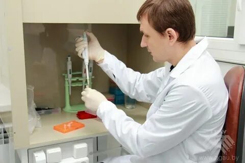 Днк лаборатория сайт