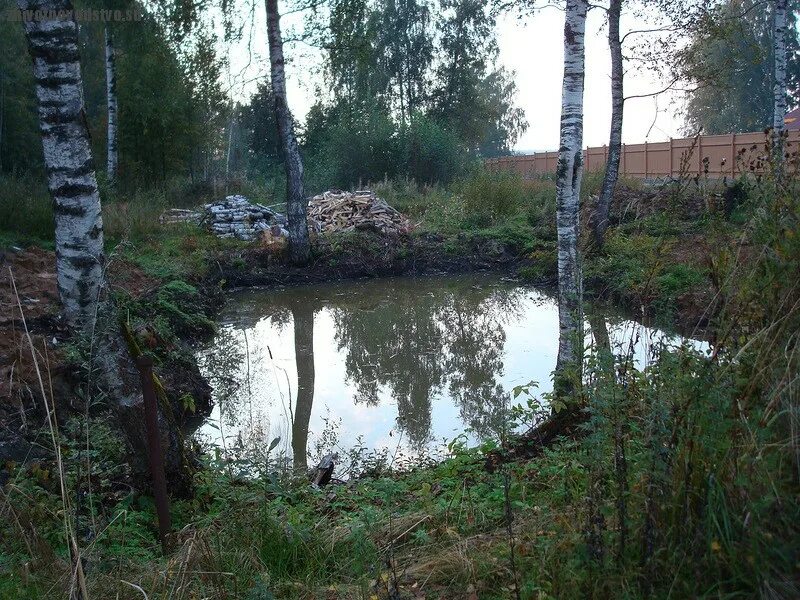 Пруд в овраге. Запруда в овраге. Запруда на участке. Запруда для рыбы. Запруда ручья