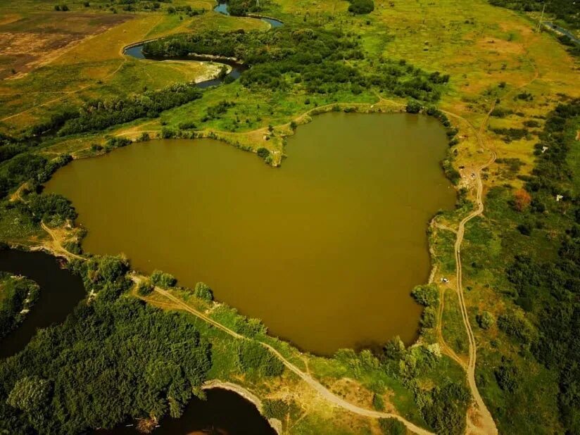 Озеро осиново. Озеро сердце ульяновск. Осиновское озеро ленинградская область. Парк осиновая роща. Голубое озеро ульяновск сельдинское шоссе.