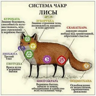 Имена связанные с лисой