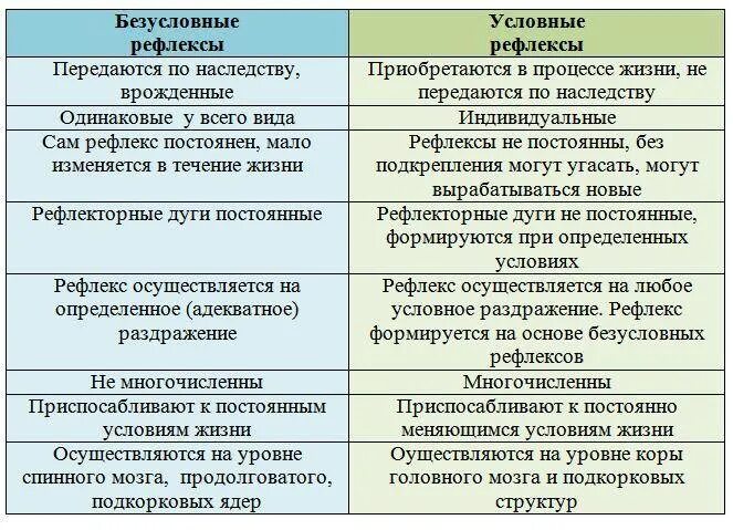 Отличие условных от безусловных. Отличия условных и безусловных рефлексов таблица. отличие условных рефлексов от безусловных таблица. отличия условных рефлексов от безусловных рефлексов таблица. сравнить условные и безусловные рефлексы таблица.