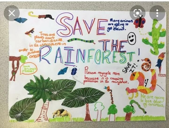 Working save me. Save the rainforests плакат. rainforests плакат save the rainforest. плакат спасите тропические леса. плакат о спасении тропических лесов.