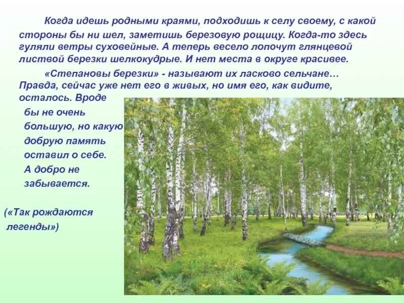 Вопросы по родному краю. Проект по родному краю. Заключение по проекту о родном крае. Проект про марийцев родной край. У рощицы березовой.