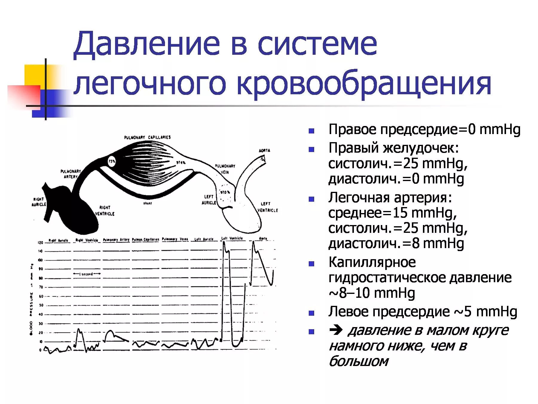 Давление в правом предсердии. Давление в легочной артерии. Расчет давления в легочной артерии. Давление в легочной артерии норма.