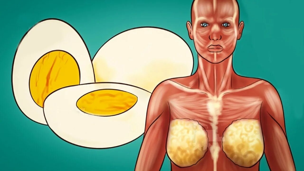 We are eating Eggs. Which Alergee start by eat Egg. 002 Eating. Which Alergee start by eat Egg Effect to Peel. Eat 2 fit