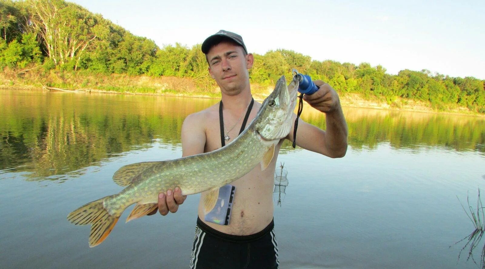 Река Дон рыбалка. Рыбалка на реке Дон в Ростовской области. Рыбы и рыбалка. Рыбак с щукой. Ловлю в контакте
