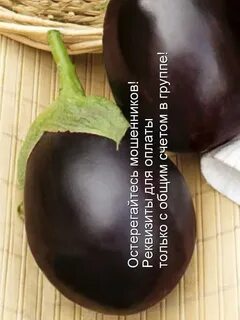 Баклажан эскимо