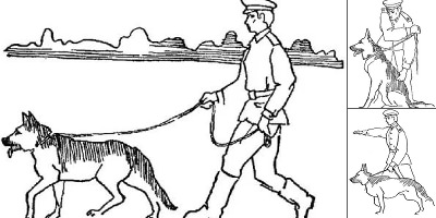 раскраска пограничник без собаки